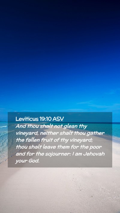 Picture 02 - Leviticus 19:10 ASV Mobile Phone Wallpaper - And thou shalt not glean thy vineyard, neither - Mobile Bible Verse Wallpaper