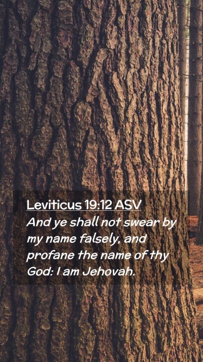 Picture 02 - Leviticus 19:12 ASV Mobile Phone Wallpaper - And ye shall not swear by my name falsely, and - Mobile Bible Verse Wallpaper