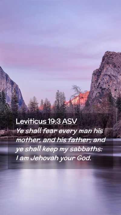 Picture 02 - Leviticus 19:3 ASV Mobile Phone Wallpaper - Ye shall fear every man his mother, and his - Mobile Bible Verse Wallpaper