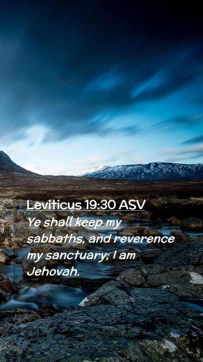 Picture 02 - Leviticus 19:30 ASV Mobile Phone Wallpaper - Ye shall keep my sabbaths, and reverence my - Mobile Bible Verse Wallpaper
