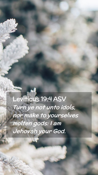 Picture 02 - Leviticus 19:4 ASV Mobile Phone Wallpaper - Turn ye not unto idols, nor make to yourselves - Mobile Bible Verse Wallpaper