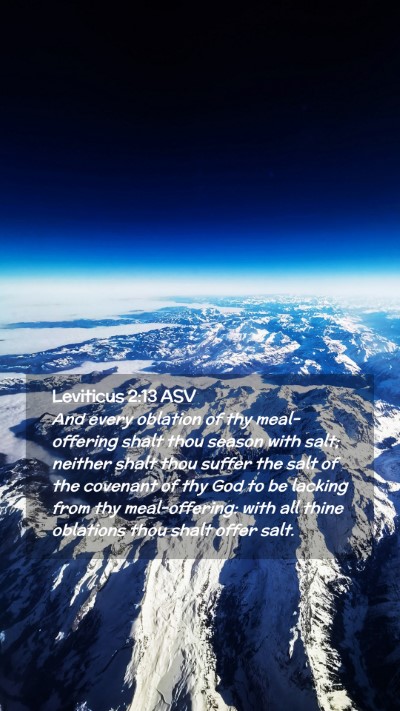 Picture 02 - Leviticus 2:13 ASV Mobile Phone Wallpaper - And every oblation of thy meal-offering shalt - Mobile Bible Verse Wallpaper