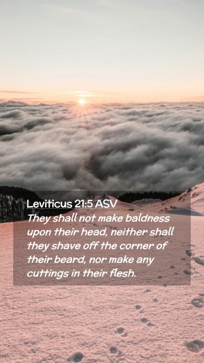 Picture 02 - Leviticus 21:5 ASV Mobile Phone Wallpaper - They shall not make baldness upon their head, - Mobile Bible Verse Wallpaper
