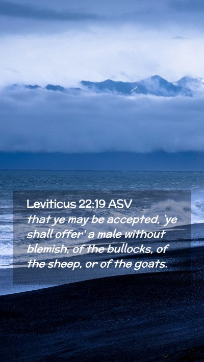 Picture 02 - Leviticus 22:19 ASV Mobile Phone Wallpaper - that ye may be accepted, `ye shall offer' a male - Mobile Bible Verse Wallpaper