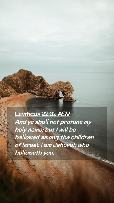 Picture 02 - Leviticus 22:32 ASV Mobile Phone Wallpaper - And ye shall not profane my holy name; but I will - Mobile Bible Verse Wallpaper
