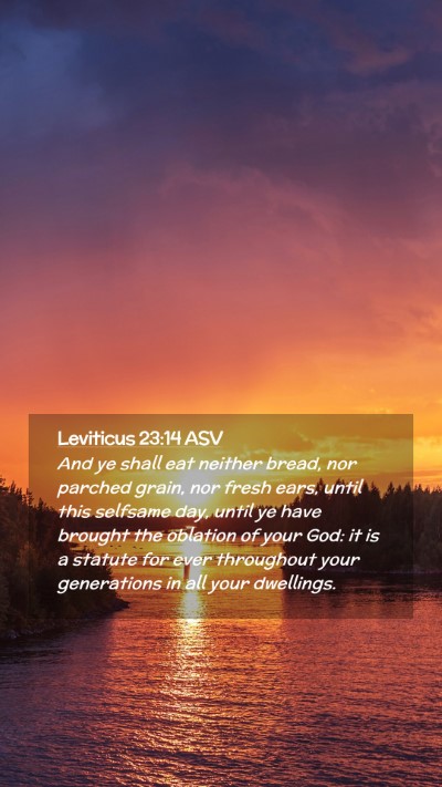 Picture 02 - Leviticus 23:14 ASV Mobile Phone Wallpaper - And ye shall eat neither bread, nor parched - Mobile Bible Verse Wallpaper