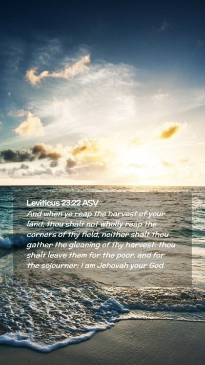 Picture 02 - Leviticus 23:22 ASV Mobile Phone Wallpaper - And when ye reap the harvest of your land, thou - Mobile Bible Verse Wallpaper