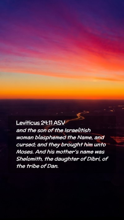 Picture 02 - Leviticus 24:11 ASV Mobile Phone Wallpaper - and the son of the Israelitish woman blasphemed - Mobile Bible Verse Wallpaper