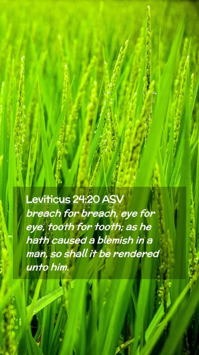 Picture 02 - Leviticus 24:20 ASV Mobile Phone Wallpaper - breach for breach, eye for eye, tooth for tooth; - Mobile Bible Verse Wallpaper