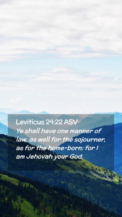 Picture 02 - Leviticus 24:22 ASV Mobile Phone Wallpaper - Ye shall have one manner of law, as well for the - Mobile Bible Verse Wallpaper