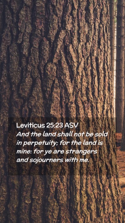 Picture 02 - Leviticus 25:23 ASV Mobile Phone Wallpaper - And the land shall not be sold in perpetuity; for - Mobile Bible Verse Wallpaper