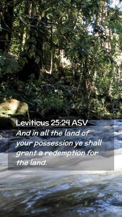 Picture 02 - Leviticus 25:24 ASV Mobile Phone Wallpaper - And in all the land of your possession ye shall - Mobile Bible Verse Wallpaper