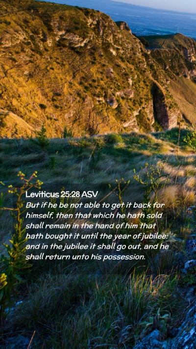 Picture 02 - Leviticus 25:28 ASV Mobile Phone Wallpaper - But if he be not able to get it back for himself, - Mobile Bible Verse Wallpaper