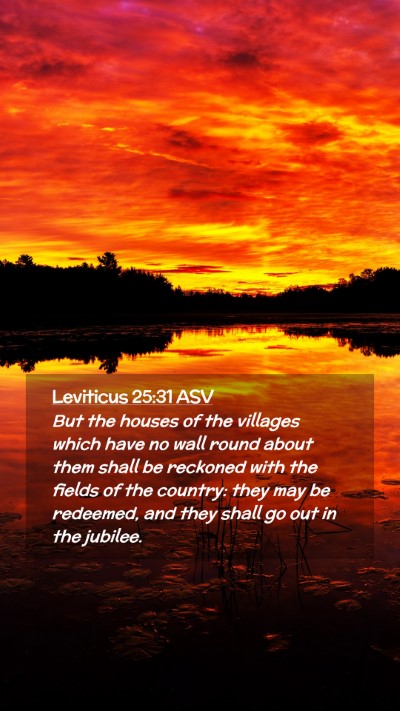 Picture 02 - Leviticus 25:31 ASV Mobile Phone Wallpaper - But the houses of the villages which have no wall - Mobile Bible Verse Wallpaper