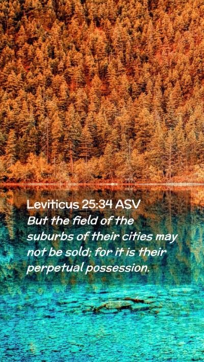 Picture 02 - Leviticus 25:34 ASV Mobile Phone Wallpaper - But the field of the suburbs of their cities may - Mobile Bible Verse Wallpaper
