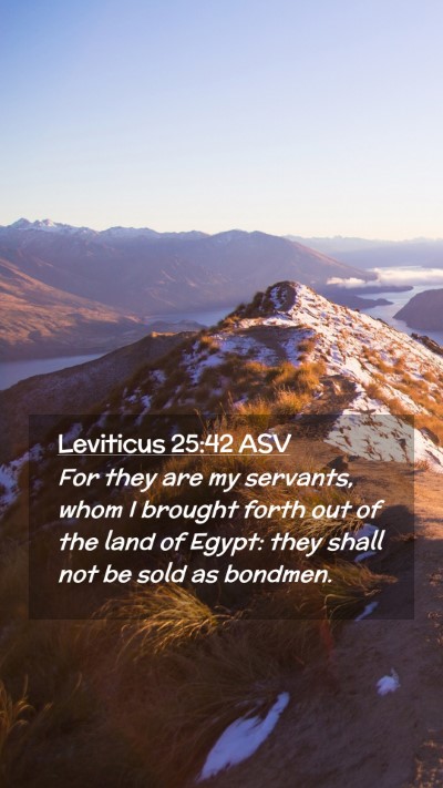 Picture 02 - Leviticus 25:42 ASV Mobile Phone Wallpaper - For they are my servants, whom I brought forth - Mobile Bible Verse Wallpaper