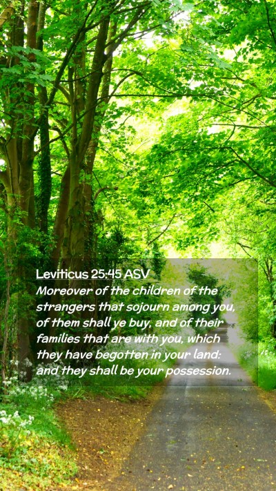 Picture 02 - Leviticus 25:45 ASV Mobile Phone Wallpaper - Moreover of the children of the strangers that - Mobile Bible Verse Wallpaper