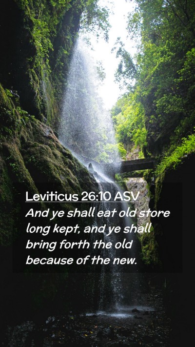 Picture 02 - Leviticus 26:10 ASV Mobile Phone Wallpaper - And ye shall eat old store long kept, and ye - Mobile Bible Verse Wallpaper