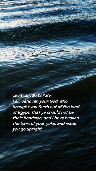 Picture 02 - Leviticus 26:13 ASV Mobile Phone Wallpaper - I am Jehovah your God, who brought you forth out - Mobile Bible Verse Wallpaper