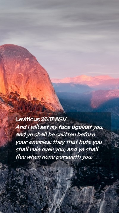 Picture 02 - Leviticus 26:17 ASV Mobile Phone Wallpaper - And I will set my face against you, and ye shall - Mobile Bible Verse Wallpaper