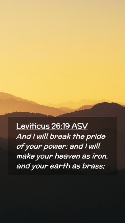 Picture 02 - Leviticus 26:19 ASV Mobile Phone Wallpaper - And I will break the pride of your power: and I - Mobile Bible Verse Wallpaper