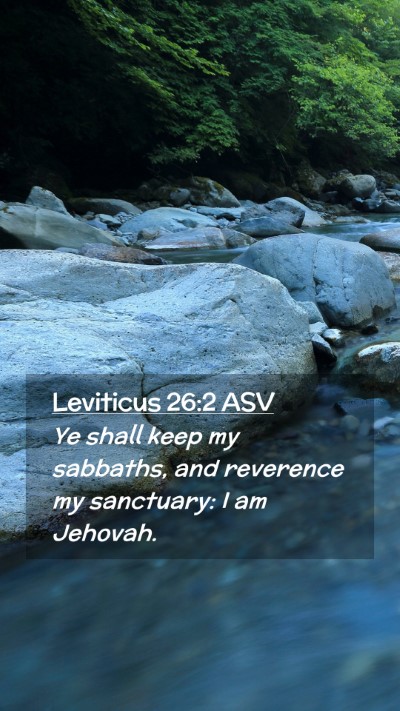 Picture 02 - Leviticus 26:2 ASV Mobile Phone Wallpaper - Ye shall keep my sabbaths, and reverence my - Mobile Bible Verse Wallpaper