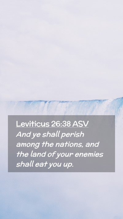 Picture 02 - Leviticus 26:38 ASV Mobile Phone Wallpaper - And ye shall perish among the nations, and the - Mobile Bible Verse Wallpaper
