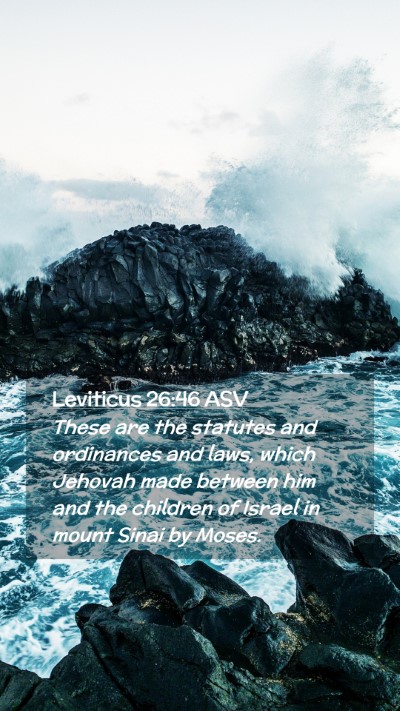 Picture 02 - Leviticus 26:46 ASV Mobile Phone Wallpaper - These are the statutes and ordinances and laws, - Mobile Bible Verse Wallpaper