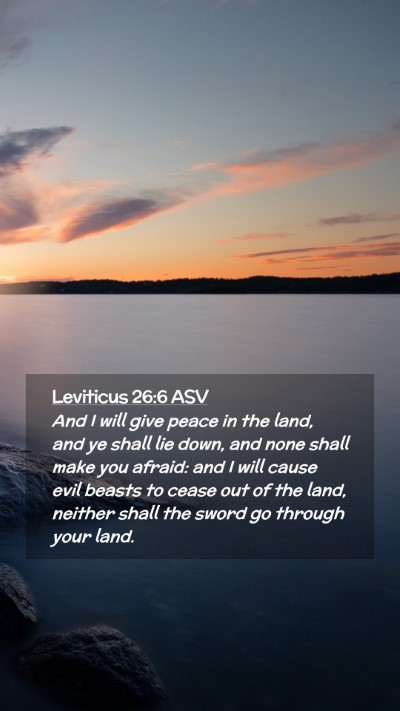 Picture 02 - Leviticus 26:6 ASV Mobile Phone Wallpaper - And I will give peace in the land, and ye shall - Mobile Bible Verse Wallpaper