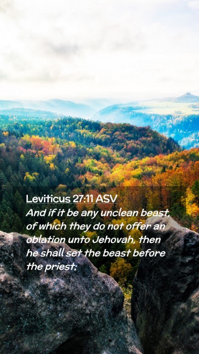 Picture 02 - Leviticus 27:11 ASV Mobile Phone Wallpaper - And if it be any unclean beast, of which they do - Mobile Bible Verse Wallpaper
