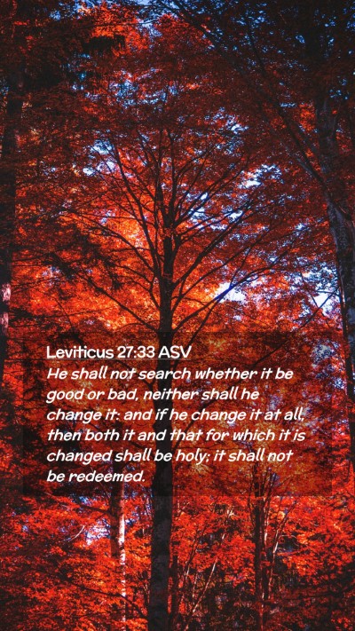 Picture 02 - Leviticus 27:33 ASV Mobile Phone Wallpaper - He shall not search whether it be good or bad, - Mobile Bible Verse Wallpaper