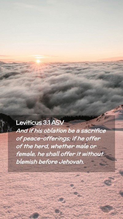Picture 02 - Leviticus 3:1 ASV Mobile Phone Wallpaper - And if his oblation be a sacrifice of - Mobile Bible Verse Wallpaper