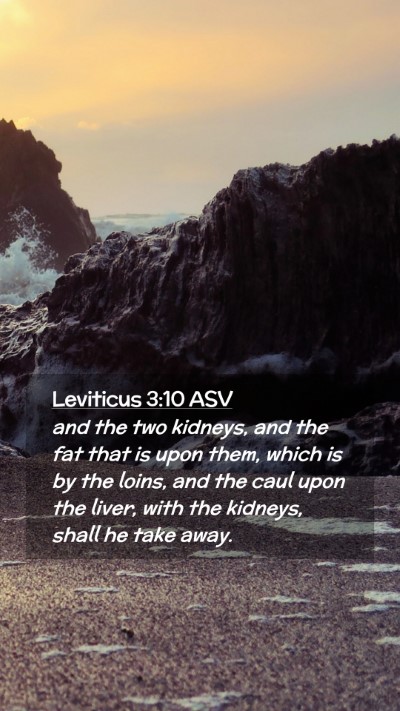 Picture 02 - Leviticus 3:10 ASV Mobile Phone Wallpaper - and the two kidneys, and the fat that is upon - Mobile Bible Verse Wallpaper