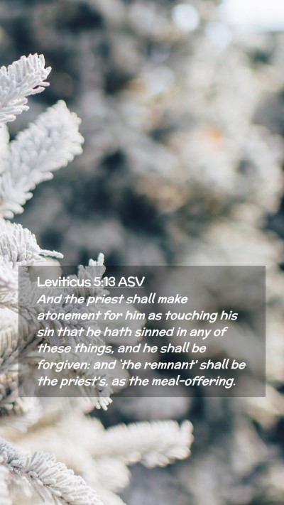 Picture 02 - Leviticus 5:13 ASV Mobile Phone Wallpaper - And the priest shall make atonement for him as - Mobile Bible Verse Wallpaper