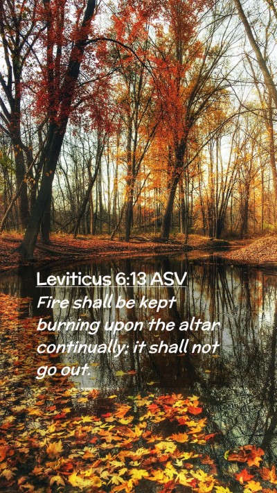 Picture 02 - Leviticus 6:13 ASV Mobile Phone Wallpaper - Fire shall be kept burning upon the altar - Mobile Bible Verse Wallpaper