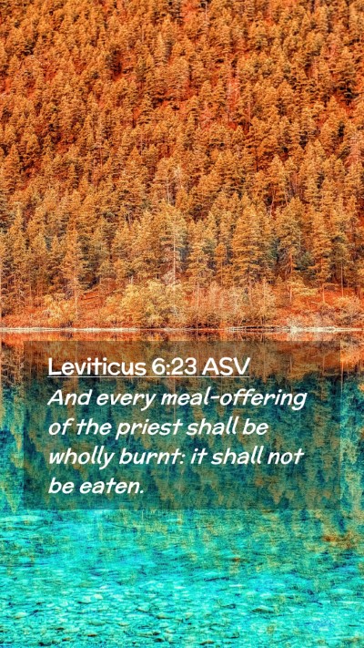 Picture 02 - Leviticus 6:23 ASV Mobile Phone Wallpaper - And every meal-offering of the priest shall be - Mobile Bible Verse Wallpaper