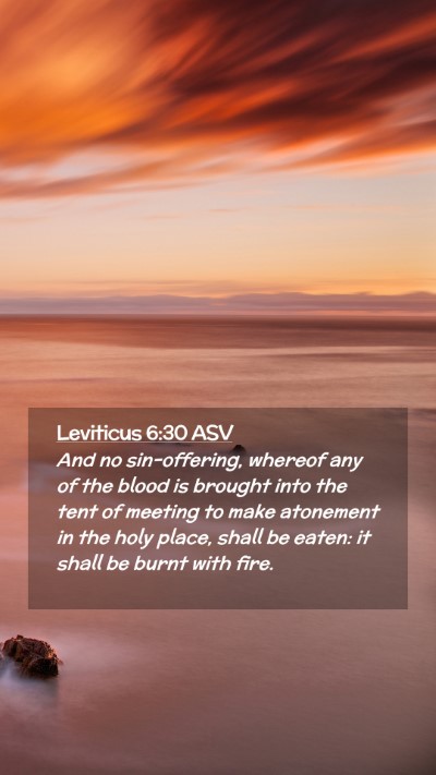 Picture 02 - Leviticus 6:30 ASV Mobile Phone Wallpaper - And no sin-offering, whereof any of the blood is - Mobile Bible Verse Wallpaper