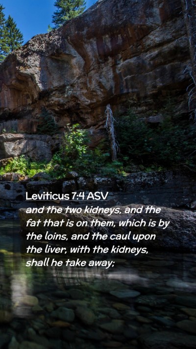 Picture 02 - Leviticus 7:4 ASV Mobile Phone Wallpaper - and the two kidneys, and the fat that is on them, - Mobile Bible Verse Wallpaper