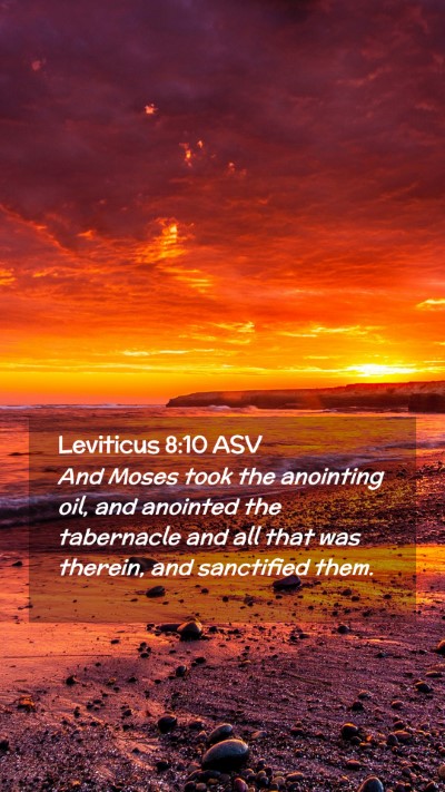 Picture 02 - Leviticus 8:10 ASV Mobile Phone Wallpaper - And Moses took the anointing oil, and anointed - Mobile Bible Verse Wallpaper
