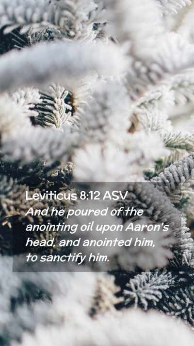 Picture 02 - Leviticus 8:12 ASV Mobile Phone Wallpaper - And he poured of the anointing oil upon Aaron's - Mobile Bible Verse Wallpaper