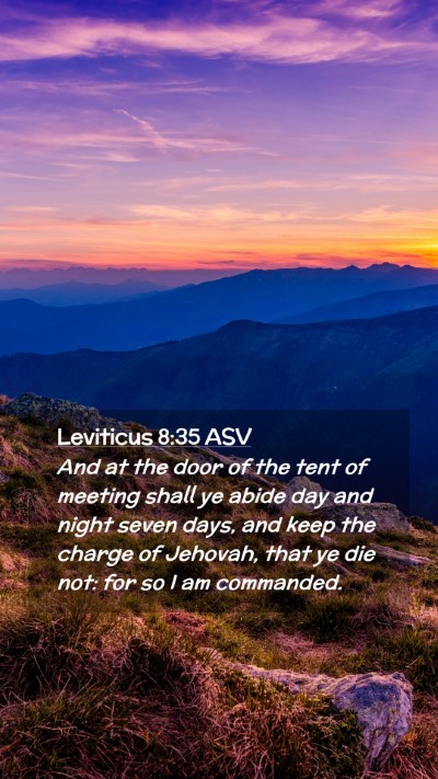 Picture 02 - Leviticus 8:35 ASV Mobile Phone Wallpaper - And at the door of the tent of meeting shall ye - Mobile Bible Verse Wallpaper