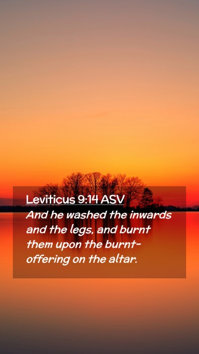 Picture 02 - Leviticus 9:14 ASV Mobile Phone Wallpaper - And he washed the inwards and the legs, and burnt - Mobile Bible Verse Wallpaper