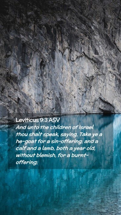 Picture 02 - Leviticus 9:3 ASV Mobile Phone Wallpaper - And unto the children of Israel thou shalt speak, - Mobile Bible Verse Wallpaper