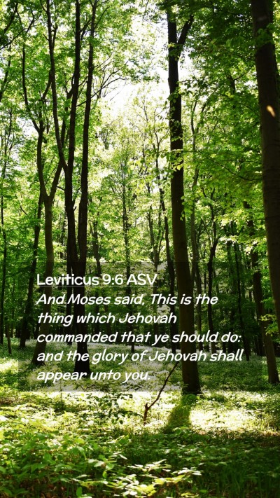 Picture 02 - Leviticus 9:6 ASV Mobile Phone Wallpaper - And Moses said, This is the thing which Jehovah - Mobile Bible Verse Wallpaper