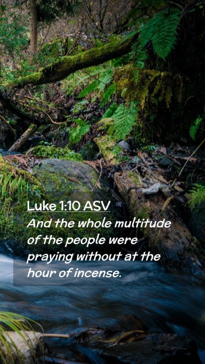 Picture 02 - Luke 1:10 ASV Mobile Phone Wallpaper - And the whole multitude of the people were - Mobile Bible Verse Wallpaper