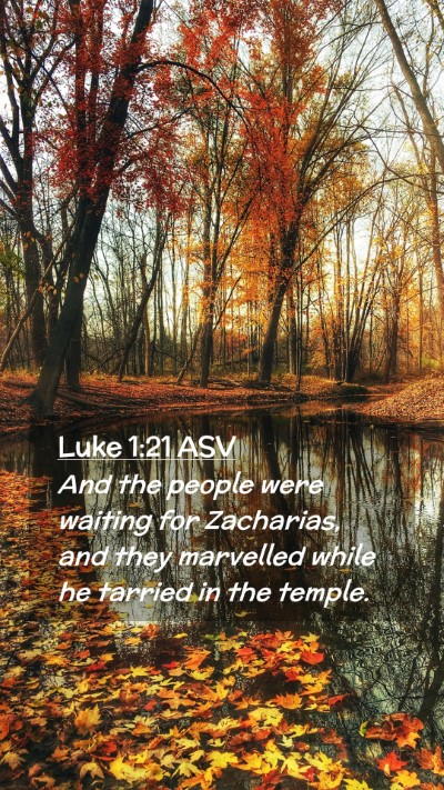 Picture 02 - Luke 1:21 ASV Mobile Phone Wallpaper - And the people were waiting for Zacharias, and - Mobile Bible Verse Wallpaper