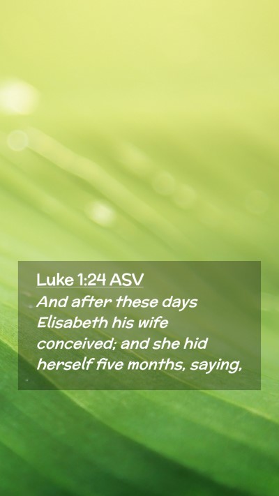 Picture 02 - Luke 1:24 ASV Mobile Phone Wallpaper - And after these days Elisabeth his wife - Mobile Bible Verse Wallpaper