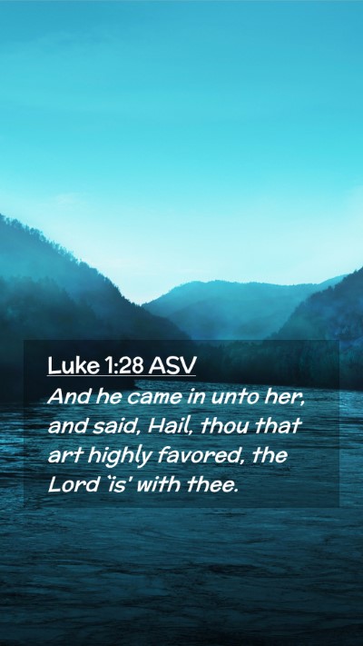 Picture 02 - Luke 1:28 ASV Mobile Phone Wallpaper - And he came in unto her, and said, Hail, thou - Mobile Bible Verse Wallpaper