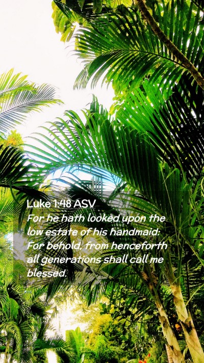 Picture 02 - Luke 1:48 ASV Mobile Phone Wallpaper - For he hath looked upon the low estate of his - Mobile Bible Verse Wallpaper