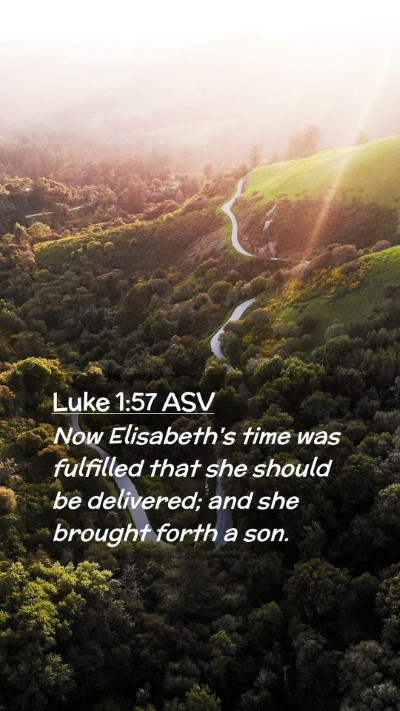 Picture 02 - Luke 1:57 ASV Mobile Phone Wallpaper - Now Elisabeth's time was fulfilled that she - Mobile Bible Verse Wallpaper